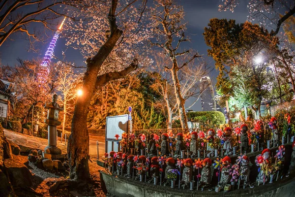 Tokió Torony Cseresznyevirág Jizo — Stock Fotó