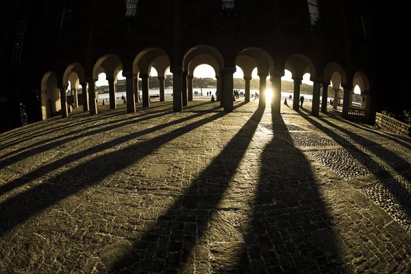 Stockholm Belediye Binası Avlusunda Sveç — Stok fotoğraf