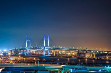 Yokohama Körfezi Köprüsü tepe parkından liman manzaralı.