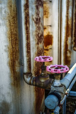 Bitki borularının resmi