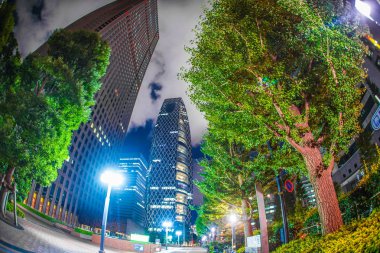 Tokyo Shinjuku gökdelenler gece görüşü