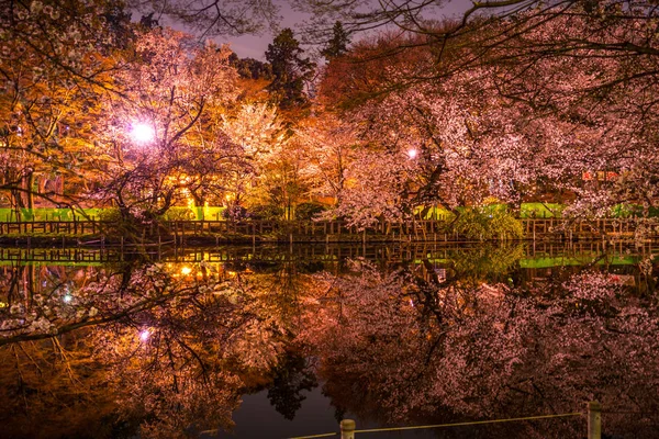 Fleurs Cerisier Parc Inokashira Parc Inokashira — Photo