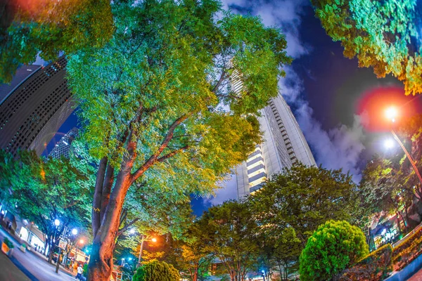 Tokyo Shinjuku Skyscrapers Night View — стокове фото