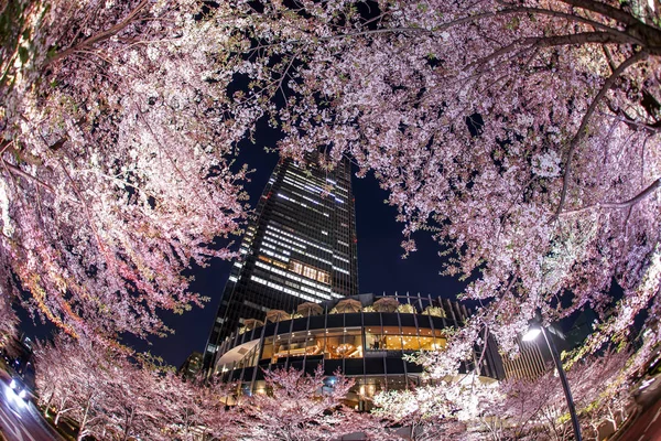 Sakura Tokyo Midtown — Photo