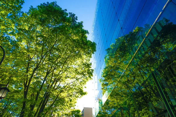 Gökyüzü ve Sendai Mediatheque, güzel hava.