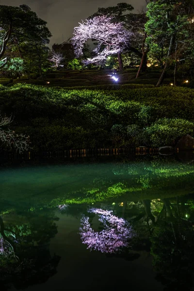 Imagen Del Jardín Japonés Primavera —  Fotos de Stock