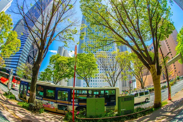 Φρέσκο Πράσινο Shinjuku — Φωτογραφία Αρχείου