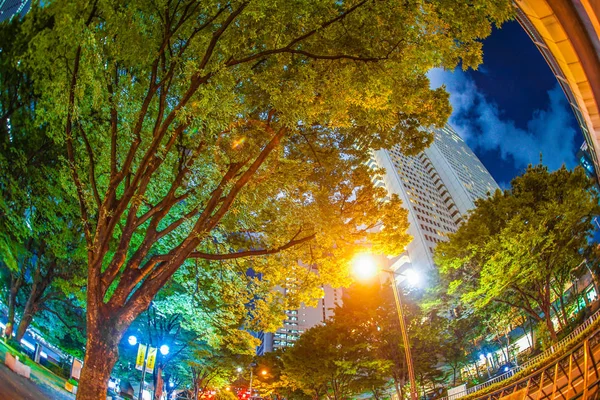 Tokyo Shinjuku Θέα Στους Ουρανοξύστες — Φωτογραφία Αρχείου