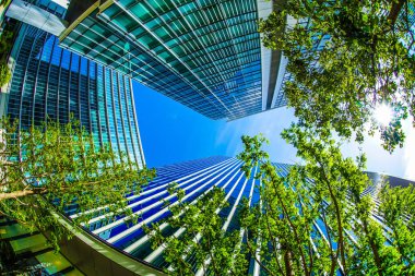 Yokohama Minato Mirai, yüksek binalar, mavi gökyüzü ve taze yeşil