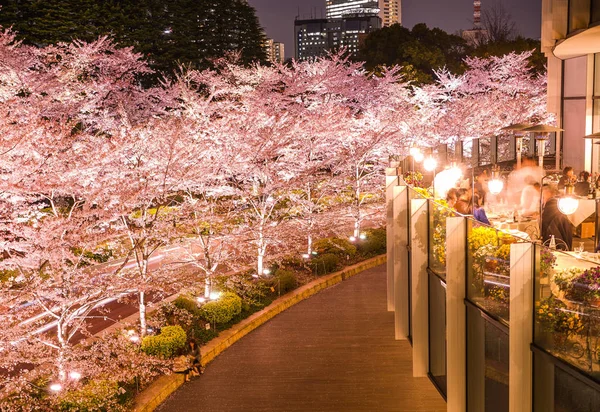 Tóquio Midtown Sakura Flor Cheia — Fotografia de Stock