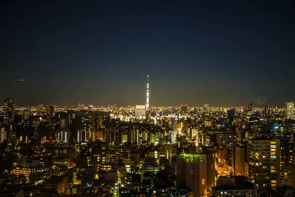 Árvore Céu Visível Centro Cívico Bunkyo — Fotografia de Stock