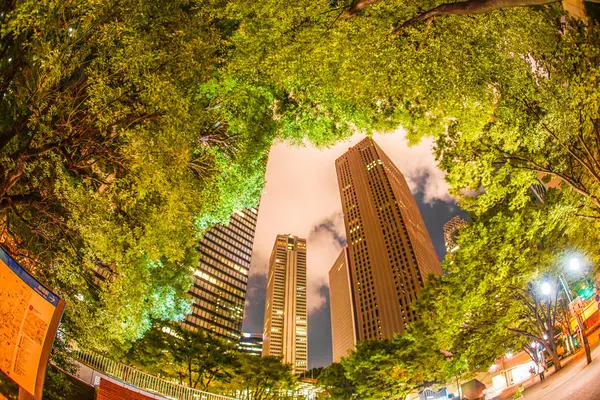 Tokyo Shinjuku Skyskrapor Nattutsikt — Stockfoto