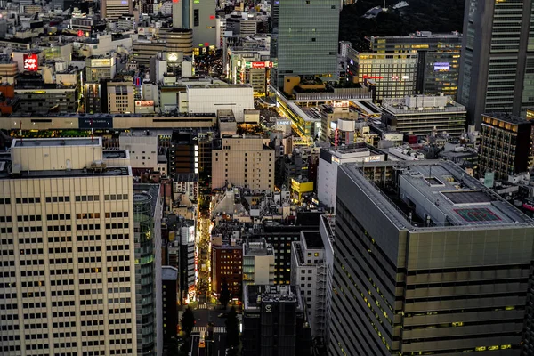 Shinjuku Stadslandskap Och Solnedgång Synlig Från Observatoriet Tokyo Metropolitan Government — Stockfoto