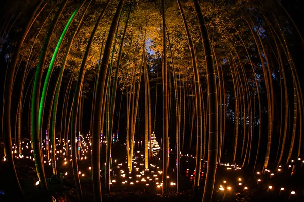 Iluminação Pequeno Diâmetro Bosque Bambu Pequena Escrivaninha Castelo Floresta Cidadão — Fotografia de Stock