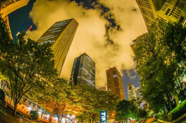 Tokyo Shinjuku gökdelenler gece görüşü