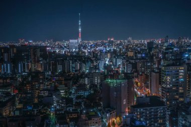 Bunkyo Şehir Merkezi 'nden gökyüzü ağacı görünüyor.