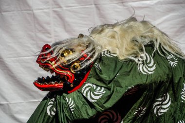 Hareket duygusunun görüntüsü aslan dansı