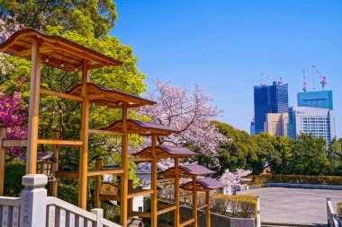 Dekorasyon tapınağı ve kiraz ağacı.