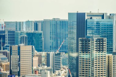 Tokyo şehir manzarası Dünya Ticaret Merkezi 'nden (Deniz kenarında) görülüyor)