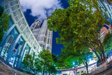 Tokyo Shinjuku gökdelenler gece görüşü