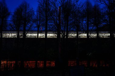 Miurakaigan 'dan Sakura Kawazu ve ağaç silueti