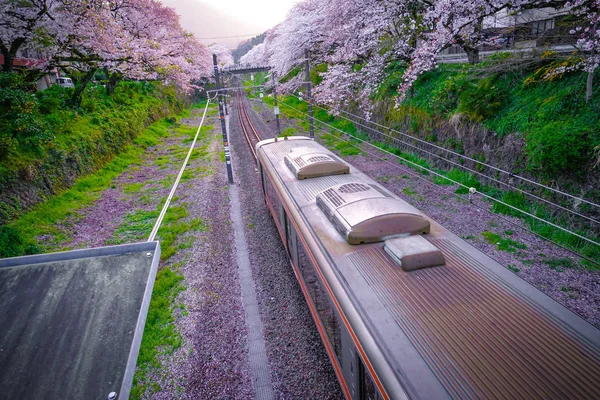 Spring Yamakita Station Kanagawa Ashigarakami Distriktet - Stock-foto