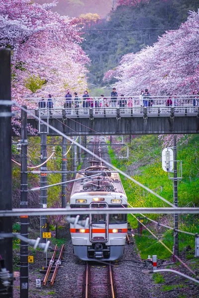 Spring Yamakita Station Kanagawa Ashigarakami District — ストック写真