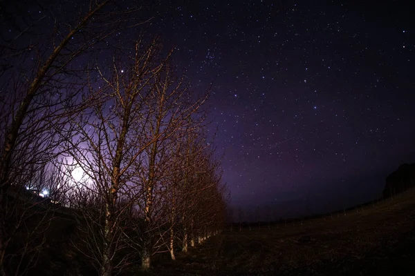 Islandia Pastizales Cielo Estrellado — Foto de Stock