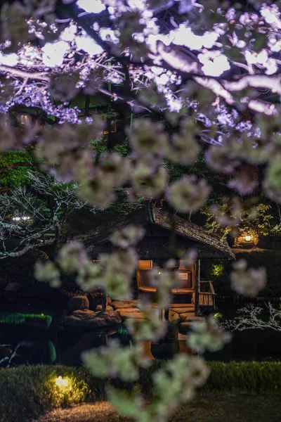Imagen Del Jardín Japonés Primavera —  Fotos de Stock