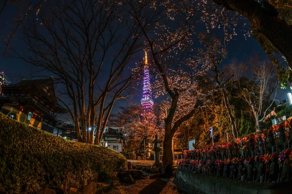 Bild Des Tokyoturms — Stockfoto