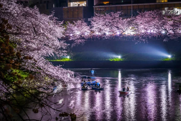 Chidorigafuchi Yendo Ver Flores Cerezo Por Noche — Foto de Stock