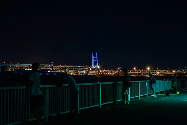 Keihin Endüstriyel Bölgesi Gece Görüşü — Stok fotoğraf