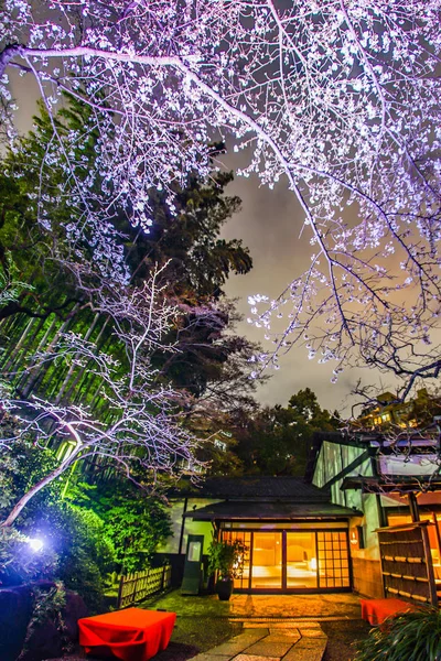 Bahar Japon Bahçesinin Resmi — Stok fotoğraf