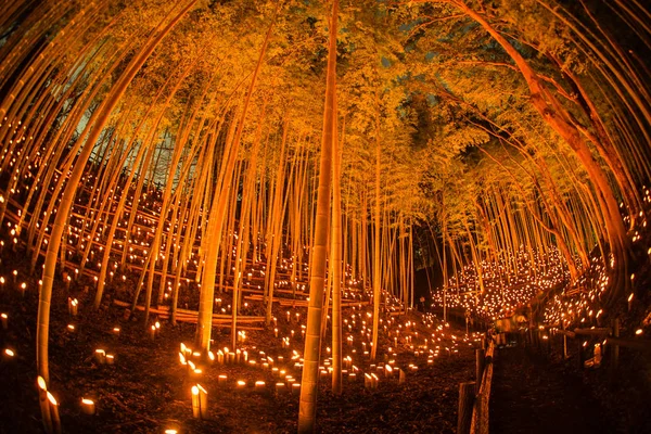 Iluminação Pequeno Diâmetro Bosque Bambu Pequena Escrivaninha Castelo Floresta Cidadão — Fotografia de Stock