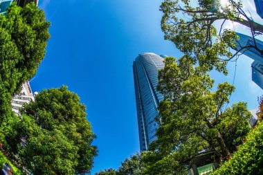 Roppongi Tepeleri ve taze yeşil