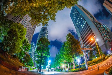 Tokyo Shinjuku gökdelenler gece görüşü