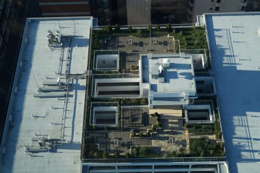 Binanın çatı bahçesi.