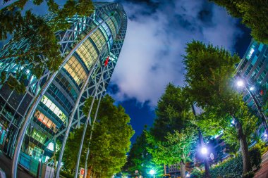 Tokyo Shinjuku gökdelenler gece görüşü
