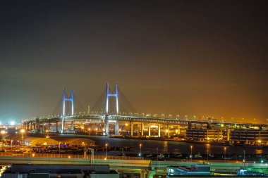 Yokohama Körfezi Köprüsü tepe parkından liman manzaralı.
