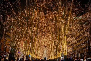 Sendai ışığının gösteri görüntüsü