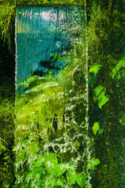 Ormandaki şelale yoğundu.