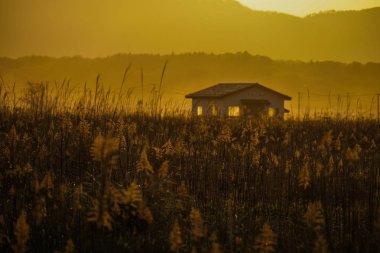 Japon pampaları çim tarlaları, güneş ve ev