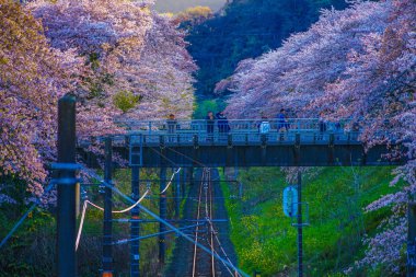 Spring Yamakita İstasyonu (Kanagawa ashigarakami bölgesi)
