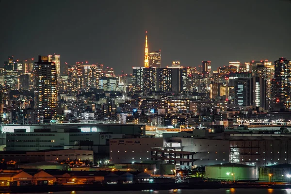 Tokyo Tower Och Tokyo Townscape Sett Utifrån Yokohama Marine Tower — Stockfoto