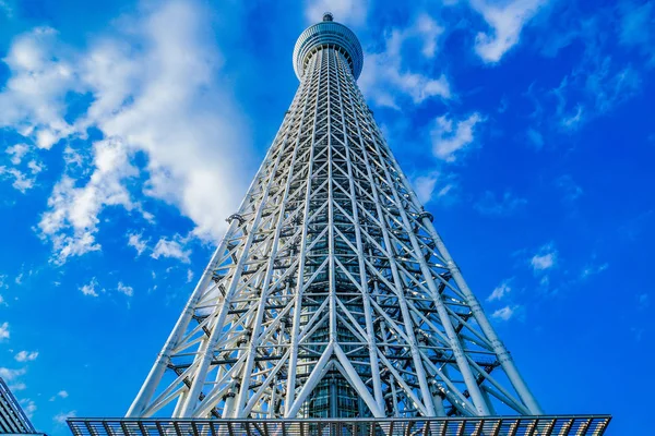 Himmel Des Tokyo Himmelsbaums Und Schönes Wetter — Stockfoto