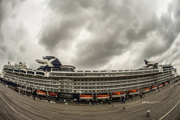 Luxusní Vložka Celebrity Millennium — Stock fotografie