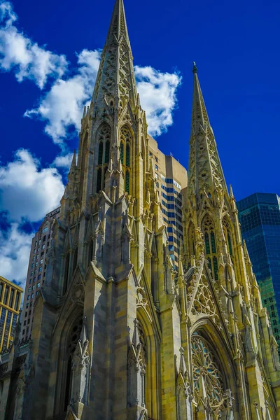 Patricks Cathedral New York Manhattan — Stock Photo, Image