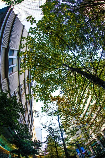 Edifício Escritórios Verde Fresco Zona Empresarial — Fotografia de Stock