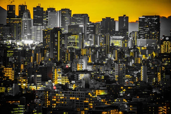 Bunkyo Şehir Merkezi Nden Gün Batımı Shinjuku — Stok fotoğraf