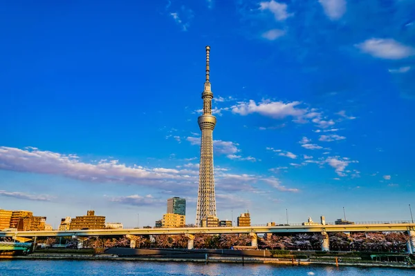 Cielo Tokyo Sky Tree Bel Tempo — Foto Stock